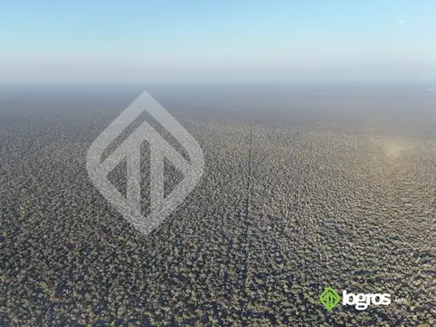 Campo en venta a desarrollar de 1944 ha | Anta | Salta