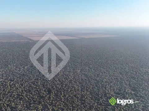 Campo en venta a desarrollar de 1944 ha | Anta | Salta