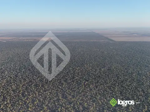 Campo en venta a desarrollar de 1944 ha | Anta | Salta