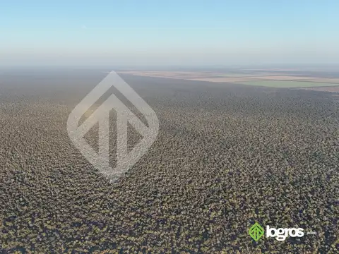 Ruta Provincial 41 | Anta | Salta 100