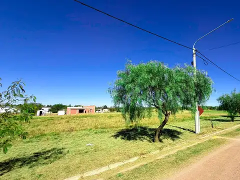 VENTA LOTE EN SINSACATE DE 1.059M2 OPORTUNIDAD
