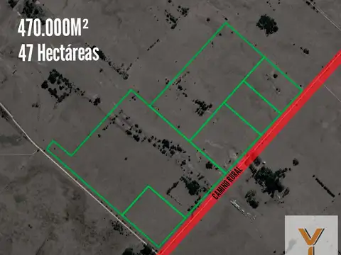 Campo en venta - 470.000Mts2 - 47 Hectáreas - Magdalena, Atalaya