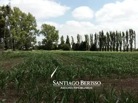 6,3  ha. Chacra en Exaltación de la Cruz.