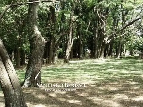6,3  ha. Chacra en Exaltación de la Cruz.