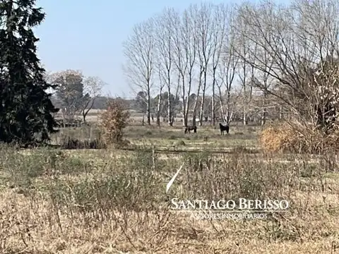 Chacra en Exaltacion De La Cruz
