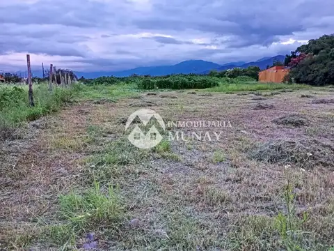 TERRENO EN VENTA VILLA LOLA