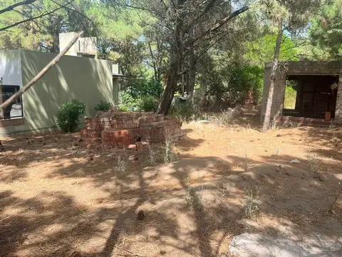 De la Anchoa 600