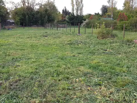 Terreno en Venta 40  mts Fondo