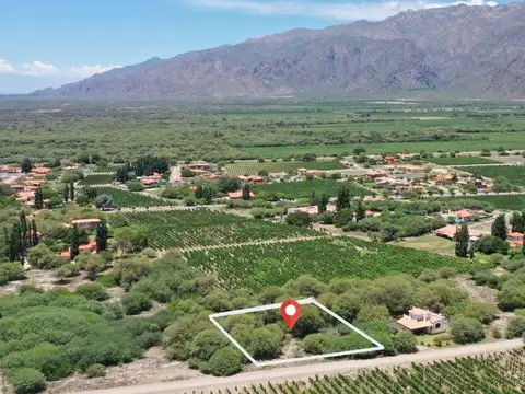 La Estancia de Cafayate 100