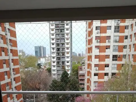 San Martin 800