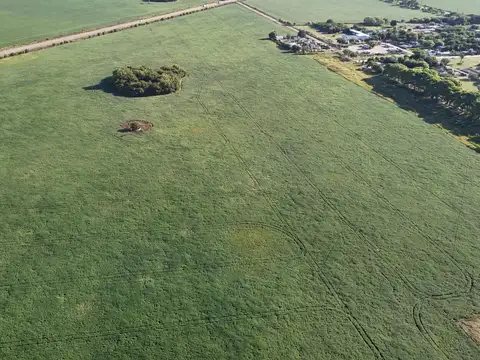 Campo en bustinza