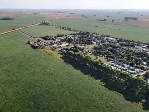 Campo en Bustinza