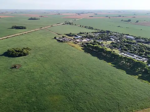 Campo en Bustinza