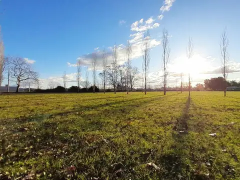 Terreno en Venta 30  mts Frente