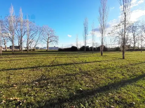 Terreno  de 1586 m2 en Barrio Cerrado Lomas de Petion - Alejandro Petion
