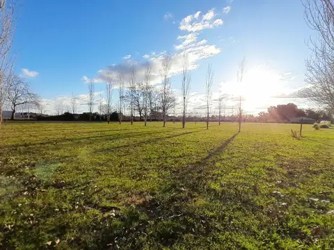 Terreno en Venta 50  mts Fondo