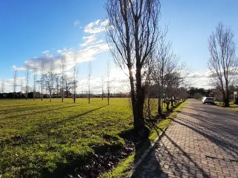 Terreno en Venta de 1500,0 m2