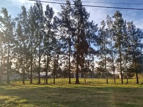 Terreno en Venta en Maximo Paz, USD 8.000