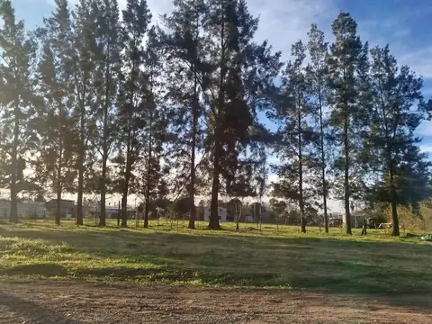 Terrenos en Máximo Paz
