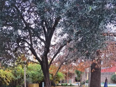 Terreno en Venta 16  mts Fondo