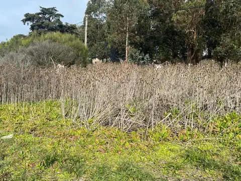 Terreno en Venta de 506,0 m2