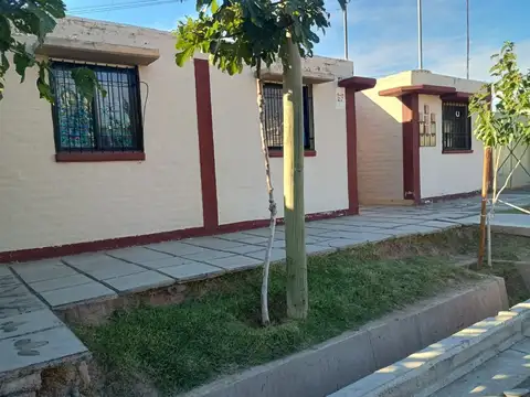 B° FARMACEUTICO 100