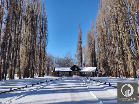 Villa Pehuenia