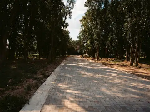 Terreno en Venta de 480,0 m2