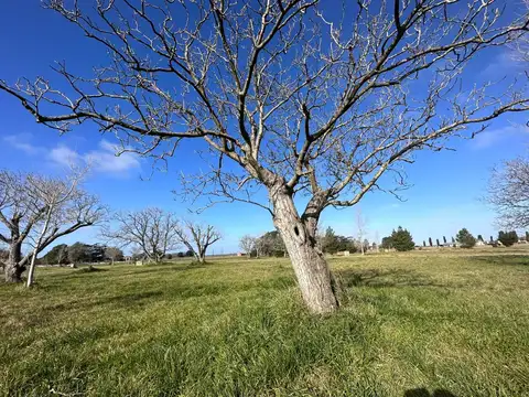 Terreno en Venta en General Madariaga, USD 22.500