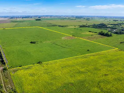 86 Has. agrícolas en Solis