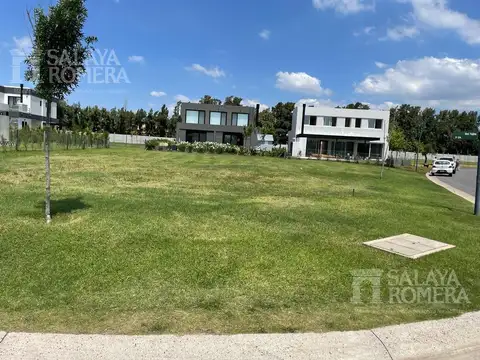 Terreno en venta en esquina Carpinchos Nordelta