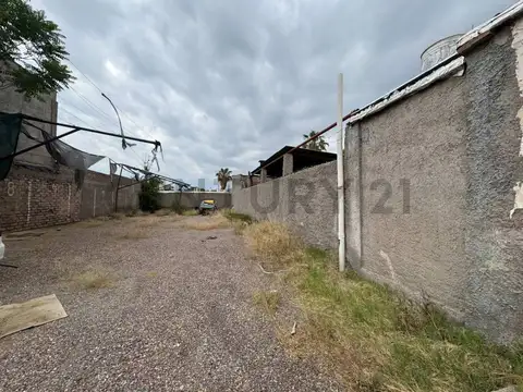 Pascual Toso 1090 , Piso 0