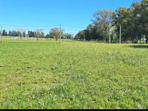 Terreno Lote  en Venta en Alto Los Cardales, Campana, G.B.A. Zona Norte