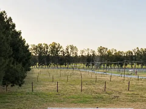 Terreno Lote  en Venta en Alto Los Cardales, Campana, G.B.A. Zona Norte