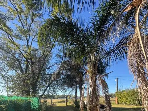 OPORTUNIDAD EN QUINTA - PARA TERMINAR A TU GUSTO  