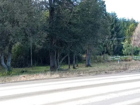 Terreno en Venta 60  mts Frente