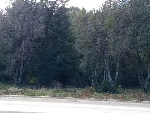 Terreno en Venta 100  mts Fondo