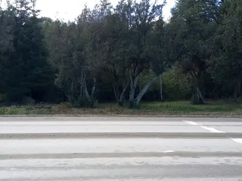 Av. Siete Lagos 1000