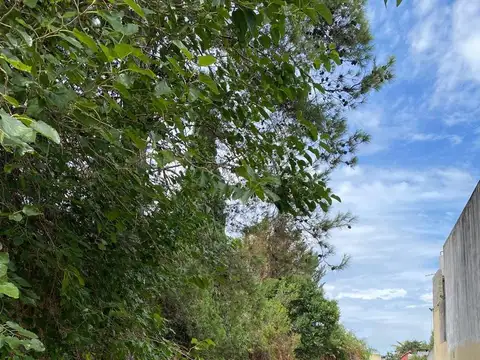 Terreno en Venta de 472,0 m2