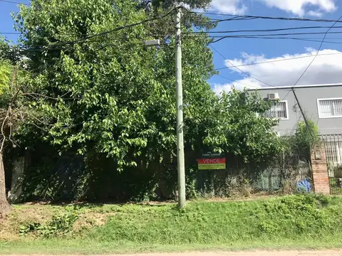 Moreno esq. La plata