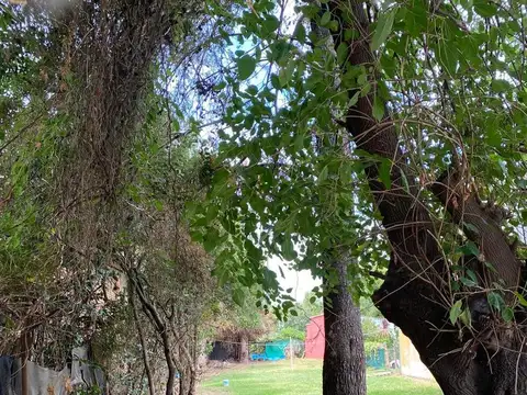 Terreno en Venta 45  mts Fondo