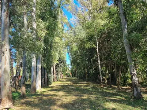 Villa Ruiz 100
