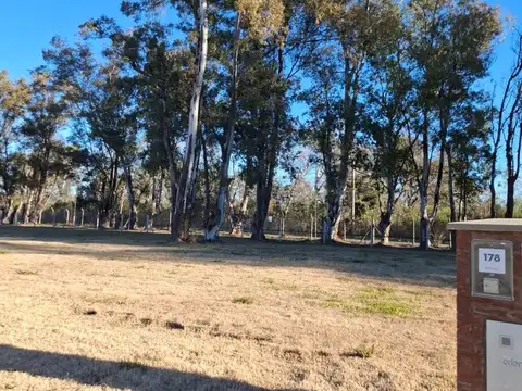 Terreno en Santa Sofia, Pilar del Este