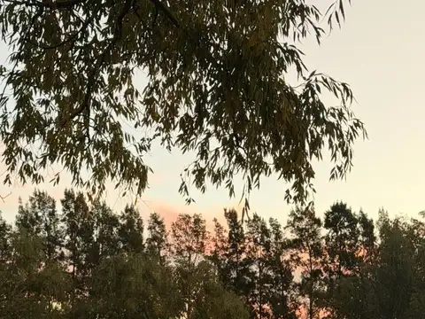 Campo en Venta de 0,13  ha