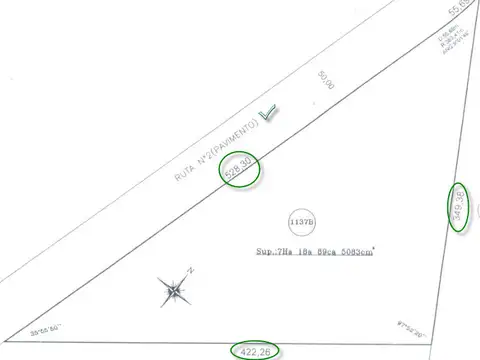 CAMPO A LA VENTA SOBRE RUTA PROVINCIAL 2, KM 74 - 7 HECTAREAS