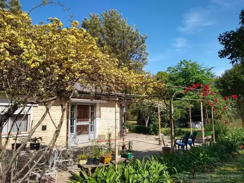 Alvarez Jonte