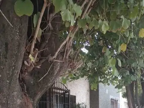 Venta 2 Casas en Una! en Barrio San Martin, ideal para renta.