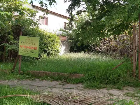 Unico lote Martin Coronado 11x20 mts