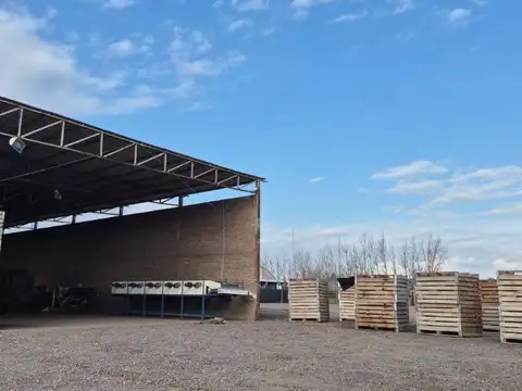25 DE MAYO ACCESO ESTE KILOMETRO 8 MAIPU MENDOZA