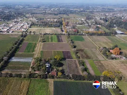 Campo Agrícolas 6 Hectáreas
